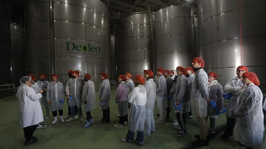 Deoleo y Fundación Cruzcampo forman en el proceso de elaboración del aceite de oliva a 60 futuros hosteleros