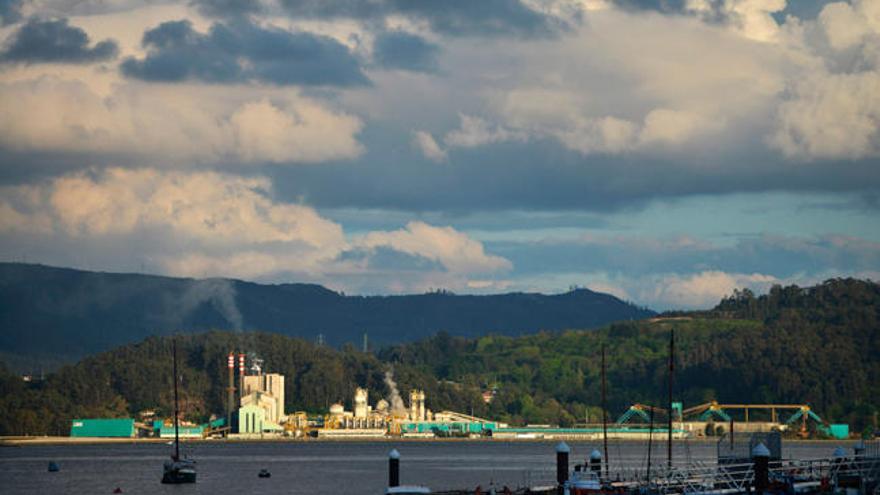 Panorámica de Ence en Lourizán.//G. Santos