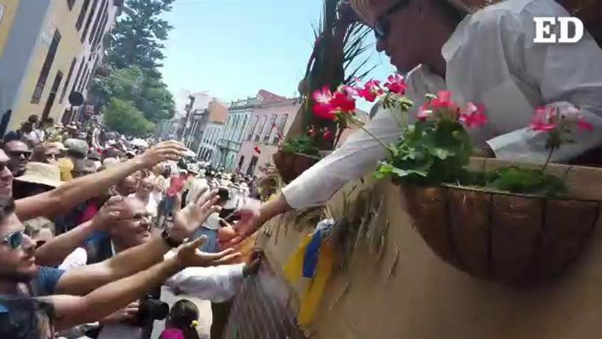 Romería de San Benito 2019