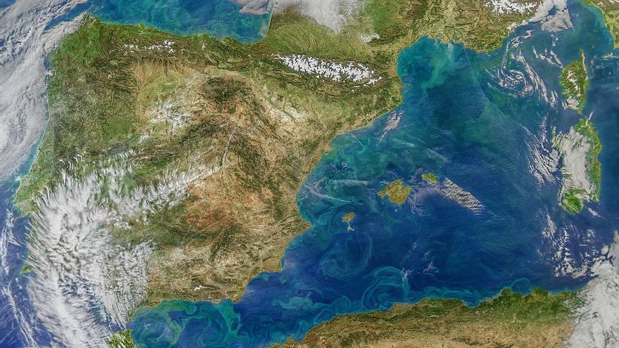 Mapa de España que muestra la concentración de clorofila en las costas del Mediterráneo