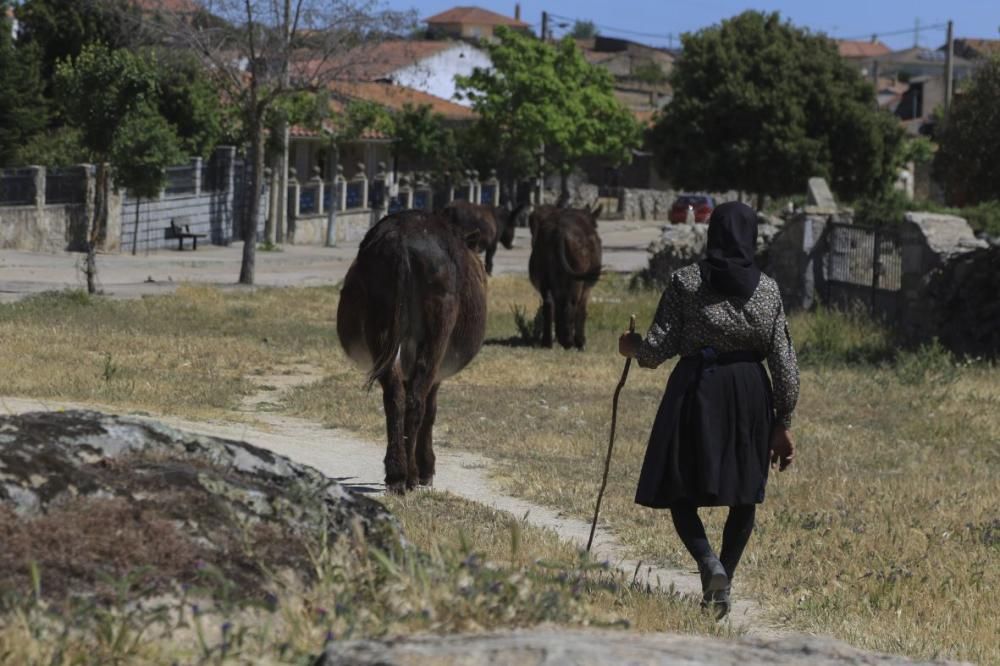 Villalcampo, belleza escondida.