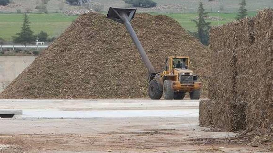 En las fotos sobre estas líneas, la explanada donde se apila la biomasa, antes utilizada para almacenar carbón. En el círculo, Jordi Aguiló, directivo de Ence.