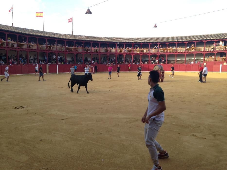 Fiestas Toro- concurso de jóvenes cortadores