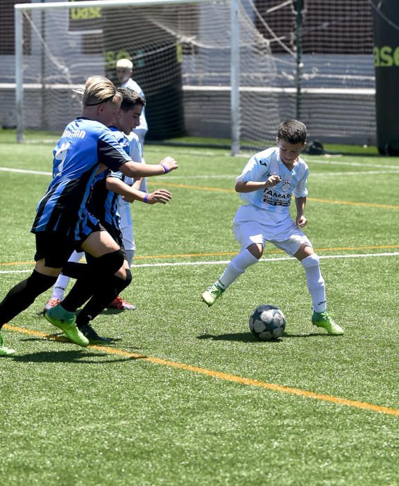 Partidos del Torneo Alevín en Maspalomas