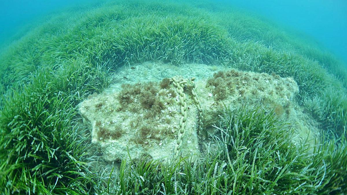 Piedra de cantera con cadena usada como fondeo sobre posidonia. | 