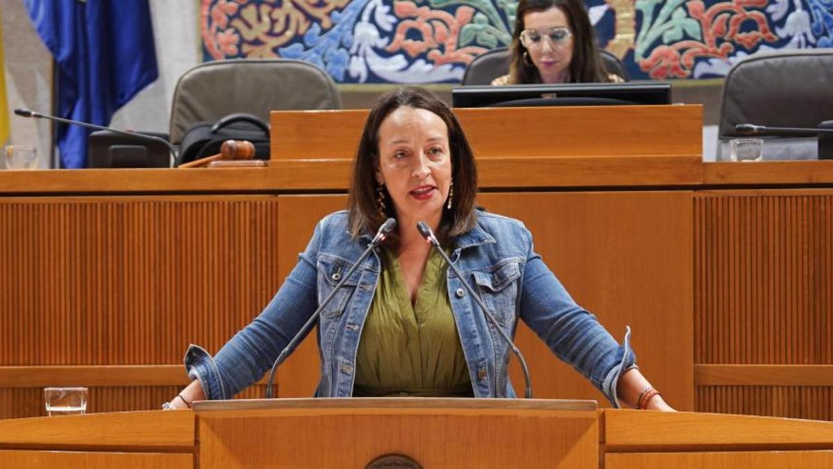 La consejera Susín ha respondido en el pleno de las Cortes sobre políticas de discapacidad.