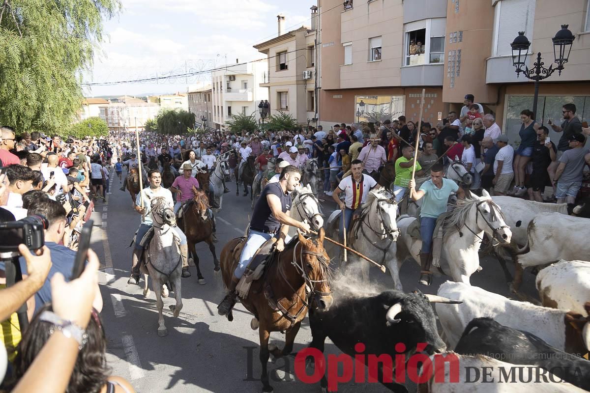 El segundo encierro de las Fiestas de Moratalla se salda con un herido