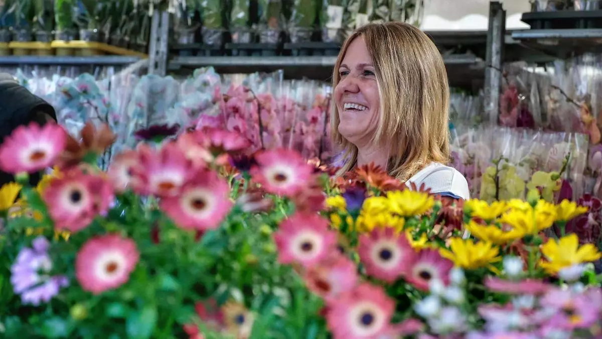 El parque García Sanabria acoge la Exposición de Flores y Plantas de las Fiestas de Mayo… y del ascenso del CD Tenerife