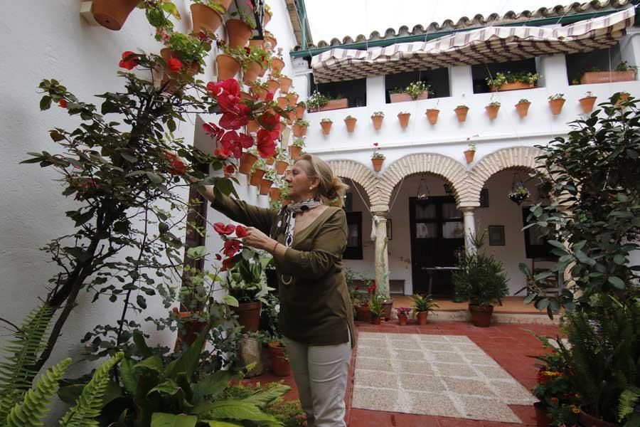 Los Patios de córdoba: Judería (2)