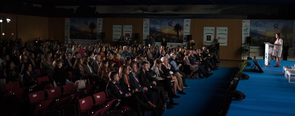 V Congreso Internacional de Calidad Turística