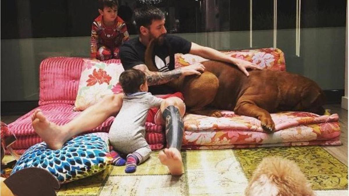Leo, junto a sus hijos Mateo y Thiago y sus perros Hulk y Toby en su domicilio