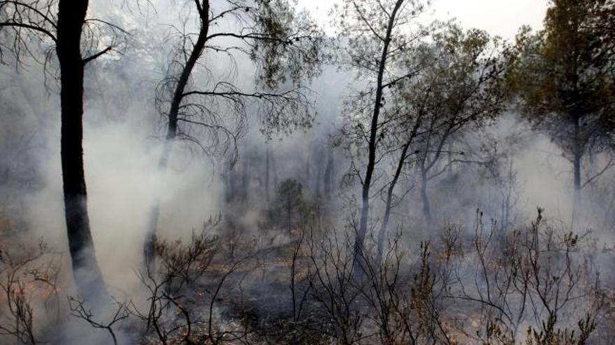 Vista del bosque humeante durante el incendio de los alrededores de Alcublas y Liria.