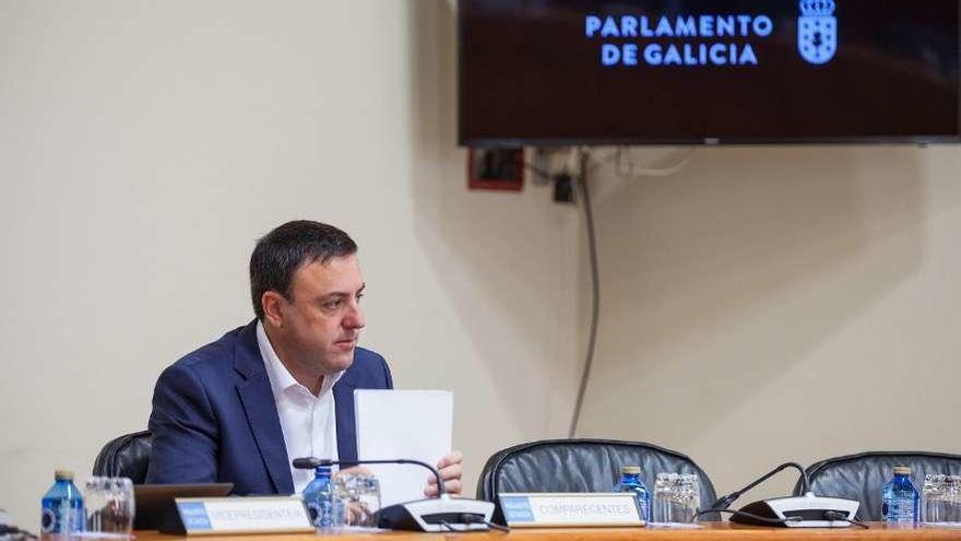 Valentín González Formoso, ayer, en su comparecencia en el Parlamento.