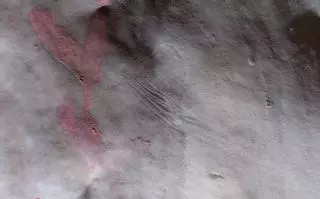 Descubiertos grabados de más de 12.000 años en la cueva Simanya de Sant Llorenç Savall