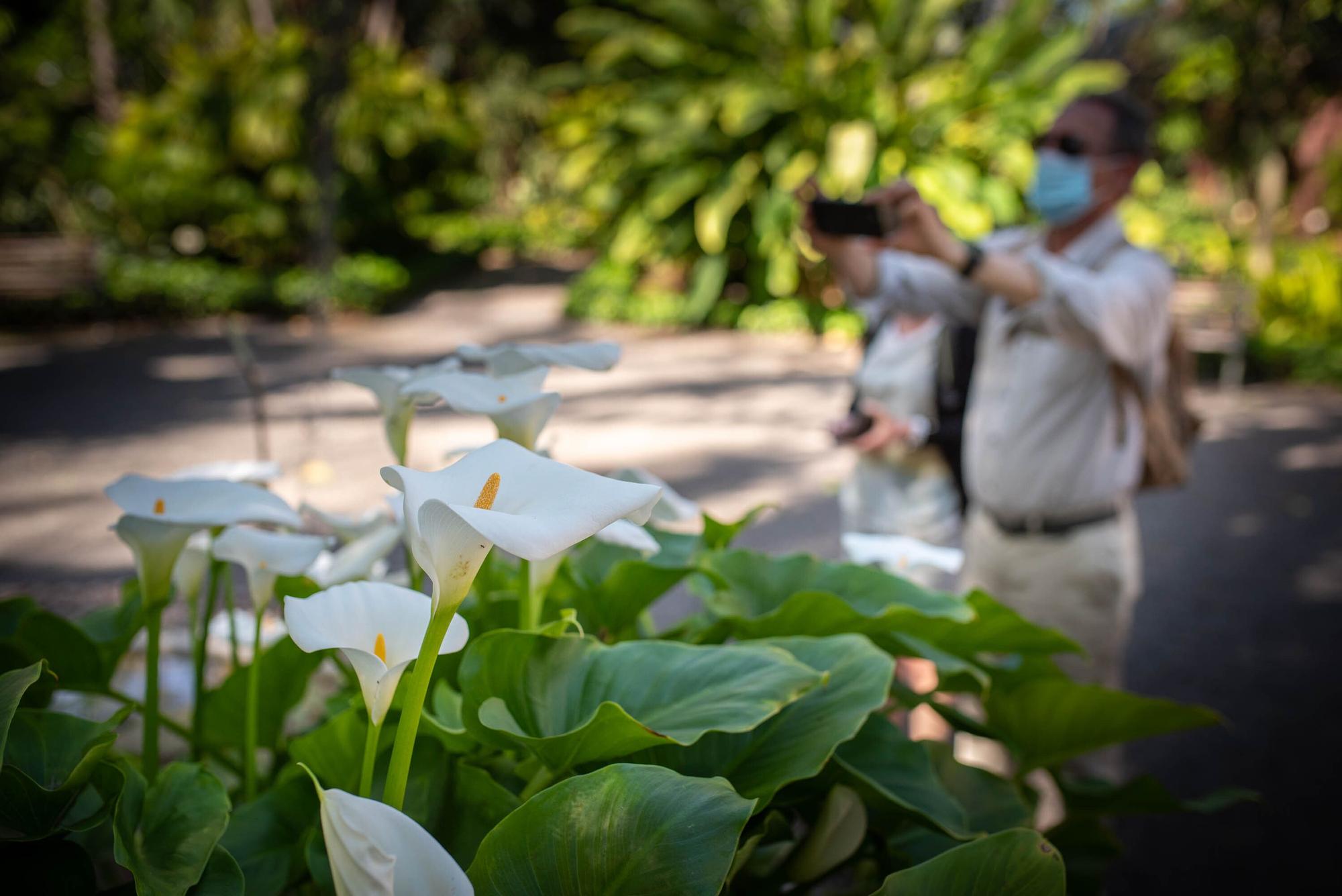 Reapertura Jardín Botánico