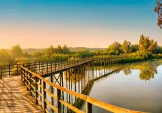 El parque de Sevilla que nació de una antigua gravera abandonada y se ha convertido en uno de los espacios verdes más hermosos de la provincia: con laguna, observatorio de aves y una enorme pasarela de madera