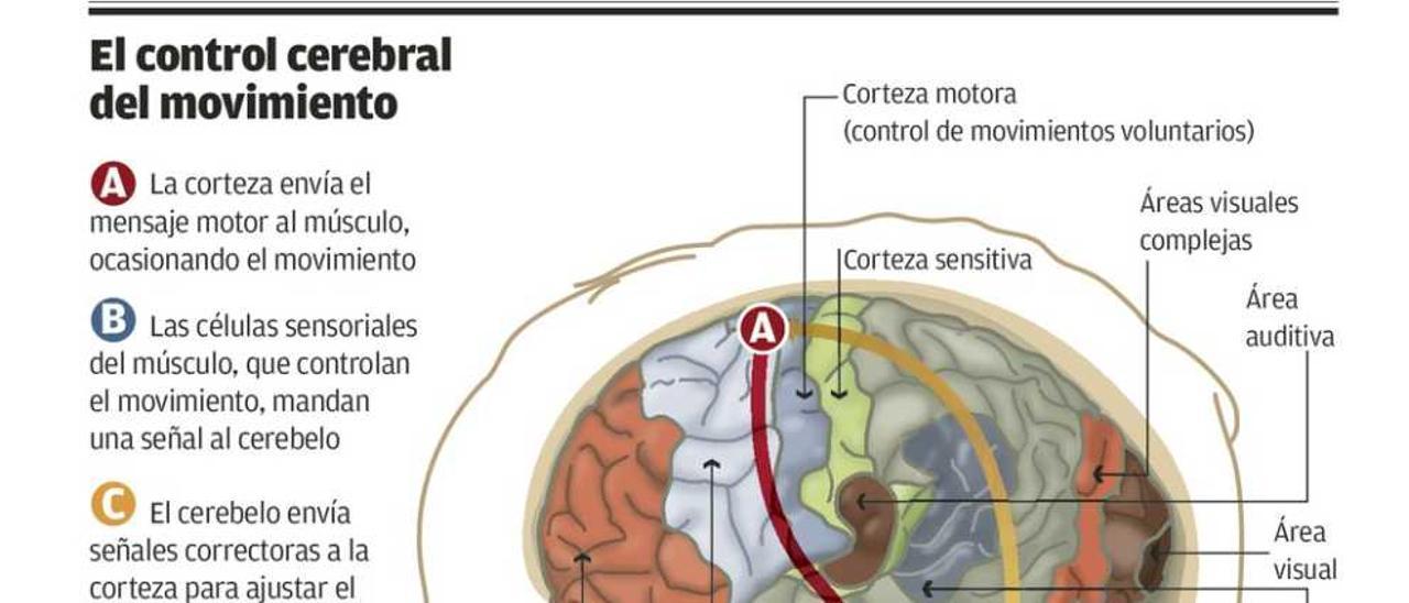 Epilepsia, un desorden cerebral con notables avances terapéuticos