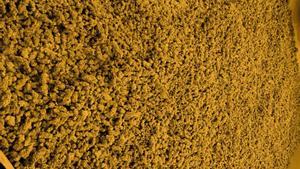 imagen de la plantación desarticulada