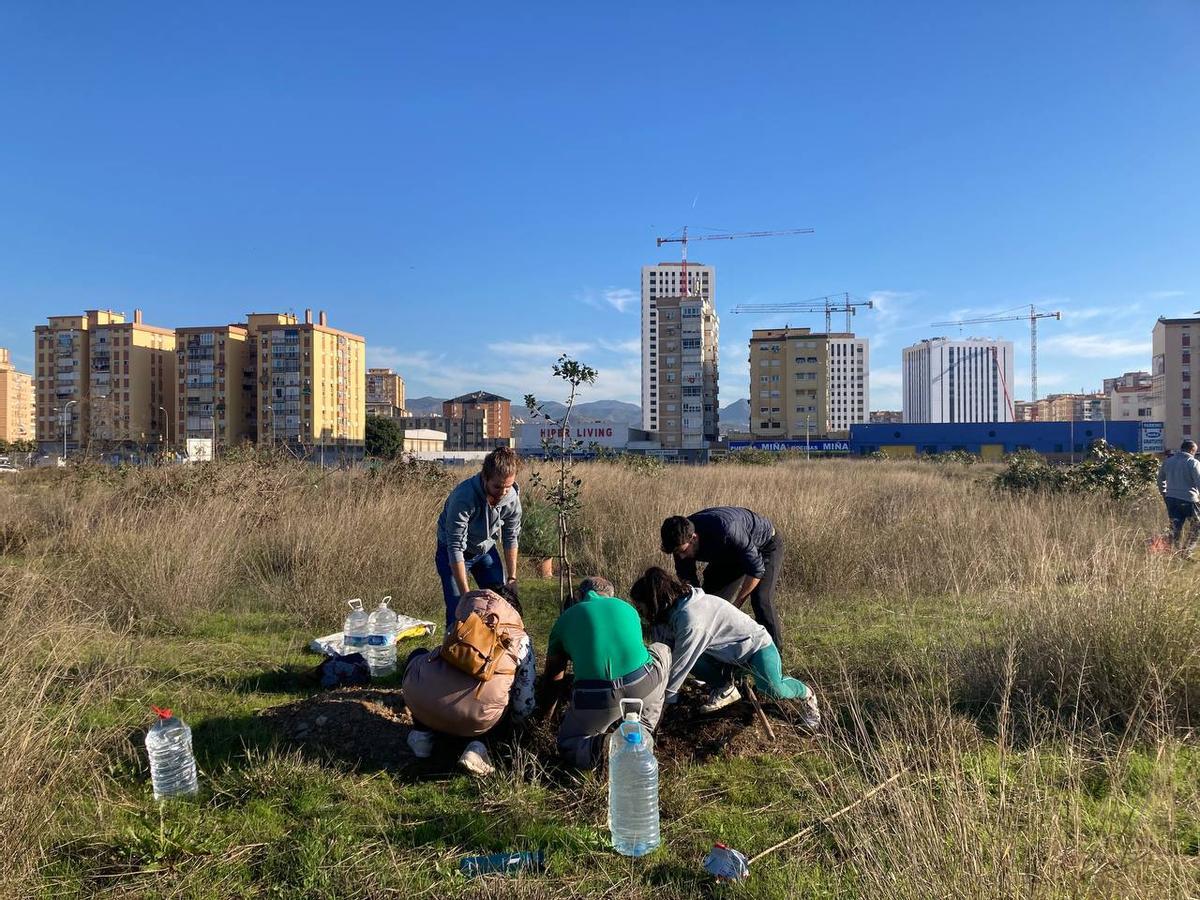 Bosque Urbano planta otros 30 árboles en los antiguos terrenos de Repsol