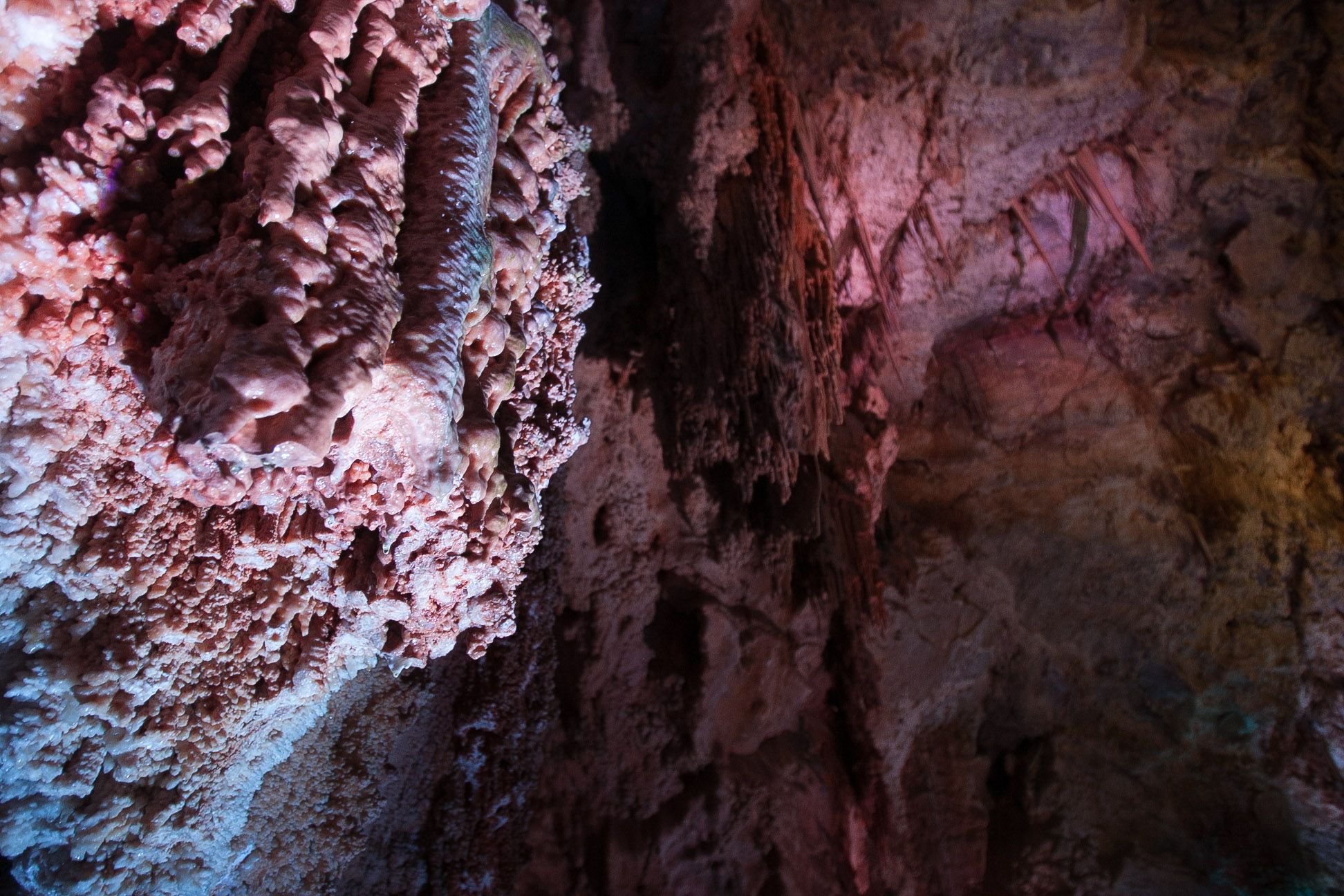 Cuevas del Canelobre, un tesoro en la provincia de Alicante