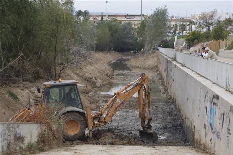 Labores de limpieza en el río Guadalquivir