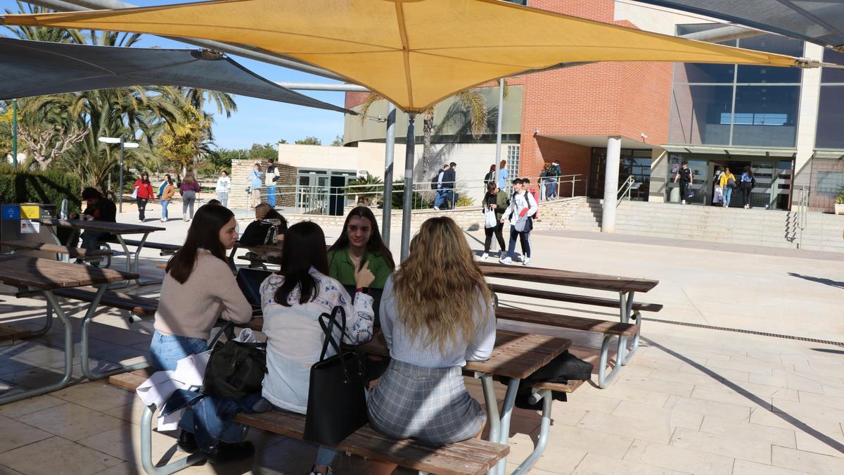 La enseñanza de Másteres en la UMH se distribuye en los cuatro campus de la Universidad.