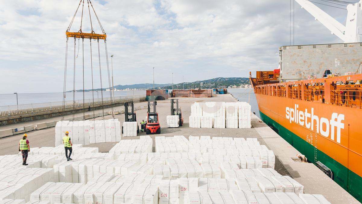 Descàrrega de pasta de paper al port de Palamós