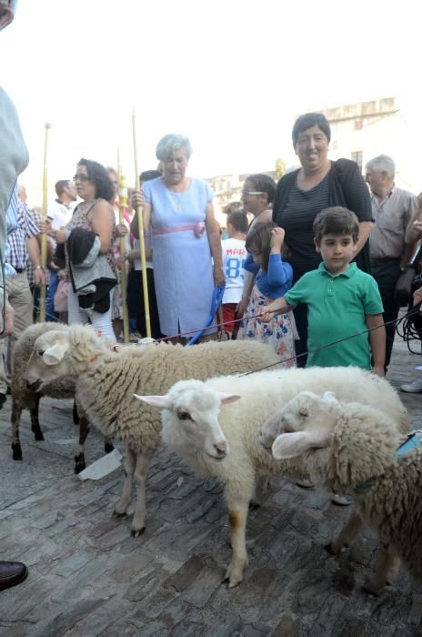 Cambados exalta a San Benito // Noe Parga