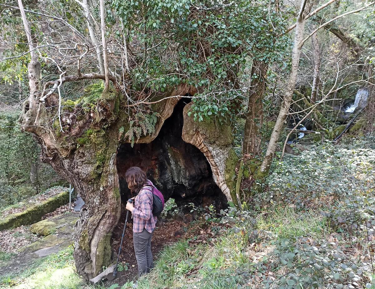 Ribeira Sacra (Provincia de Ourense). Folgoso por el Cañón del río Mao (afluente del río Sil)