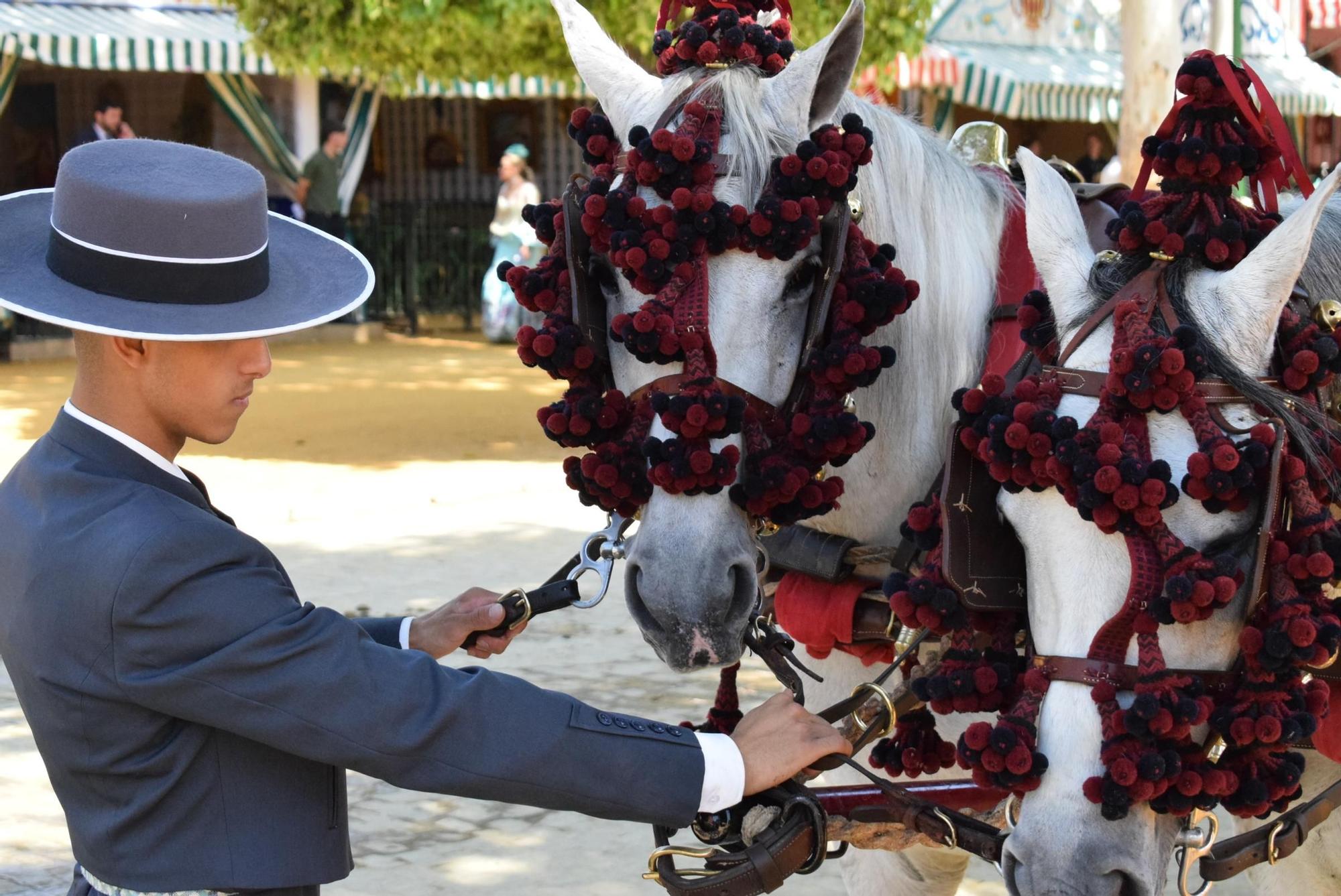 Caballos sujetos por el cochero