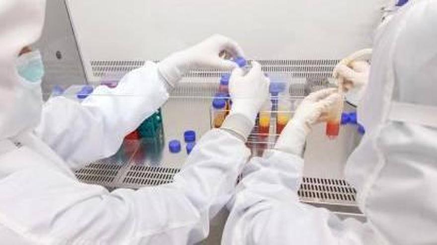 Tres valencianos crean el  primer banco privado de células madre para tratar enfermedades