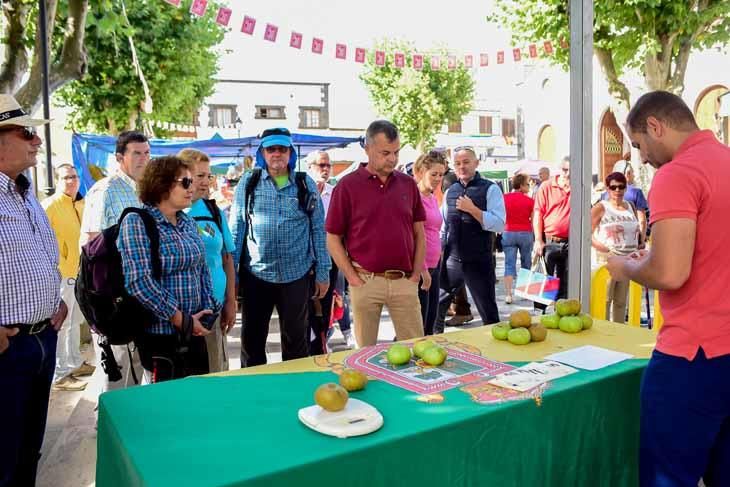 Fiesta de la manzana de Valleseco