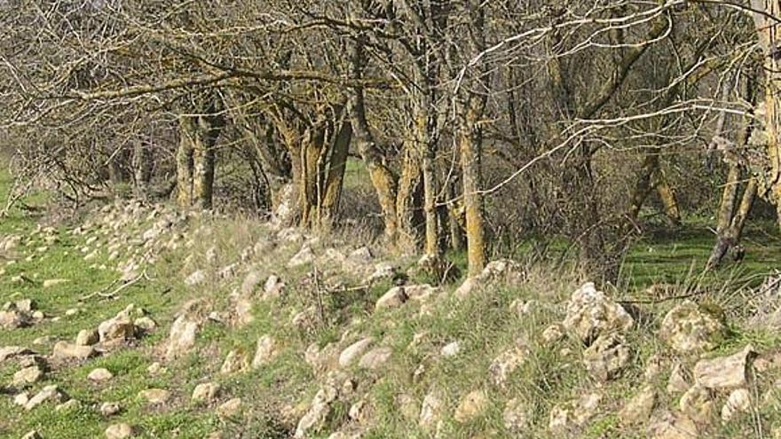 Vestigios del acueducto romano de Molacillos, según Vicente.