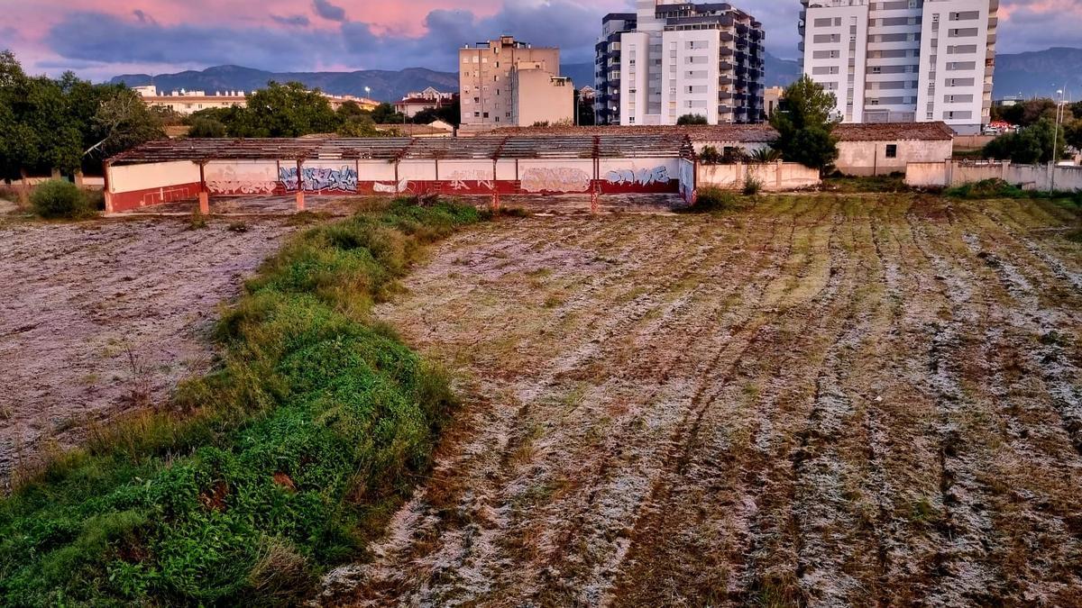 El SEPES limpia la maleza de Son Busquets
