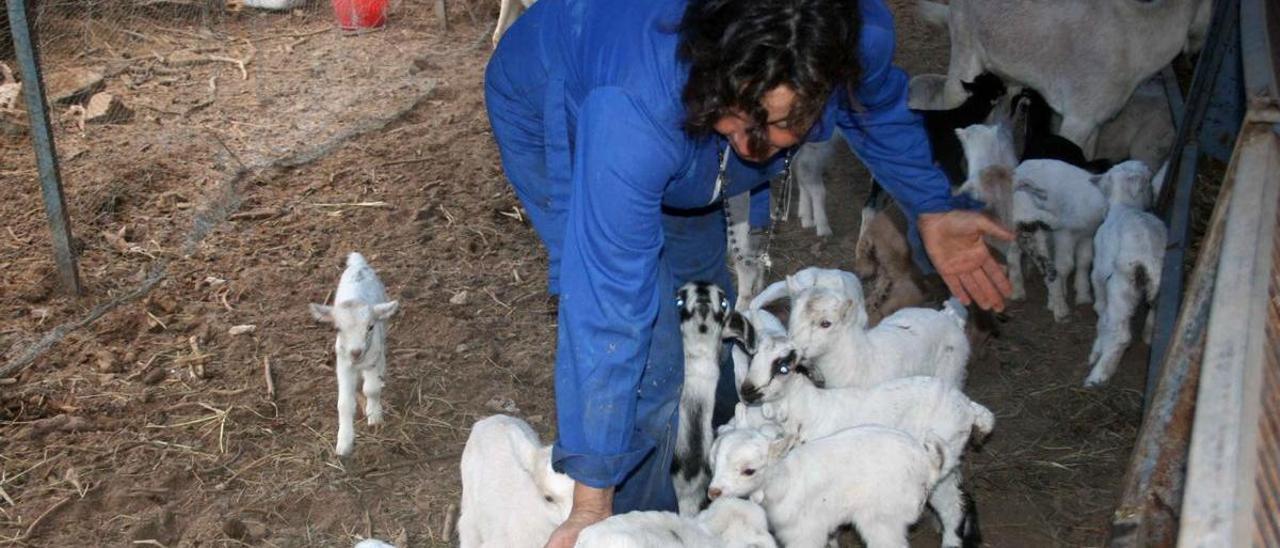 Con los programas de Labora se pretende potenciar el empleo y, en especial, el enfocado a la economía verde y ecológica; y a la transición digital, al tiempo que se frena el éxodo rural en las comarcas del interior de Castellón. Imagen de archivo de una ganadera.