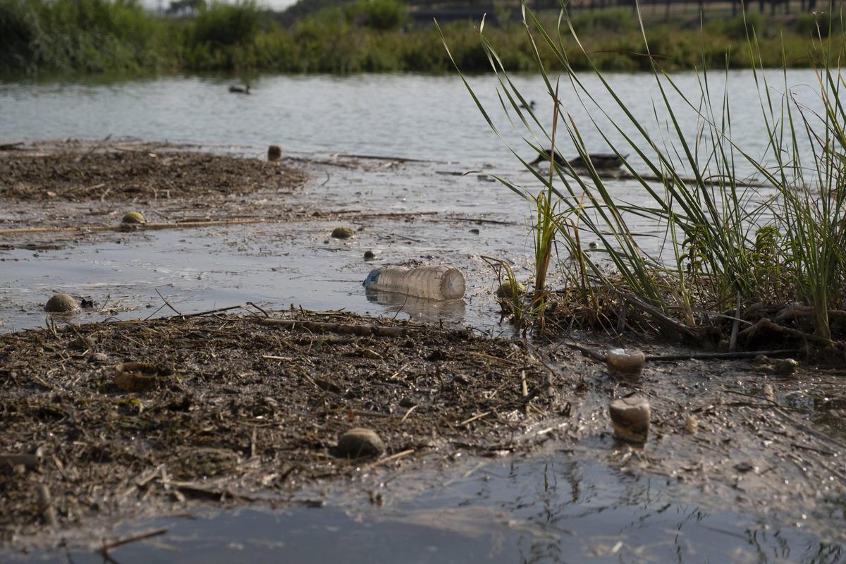Deixalles surant al llac de l'Agulla