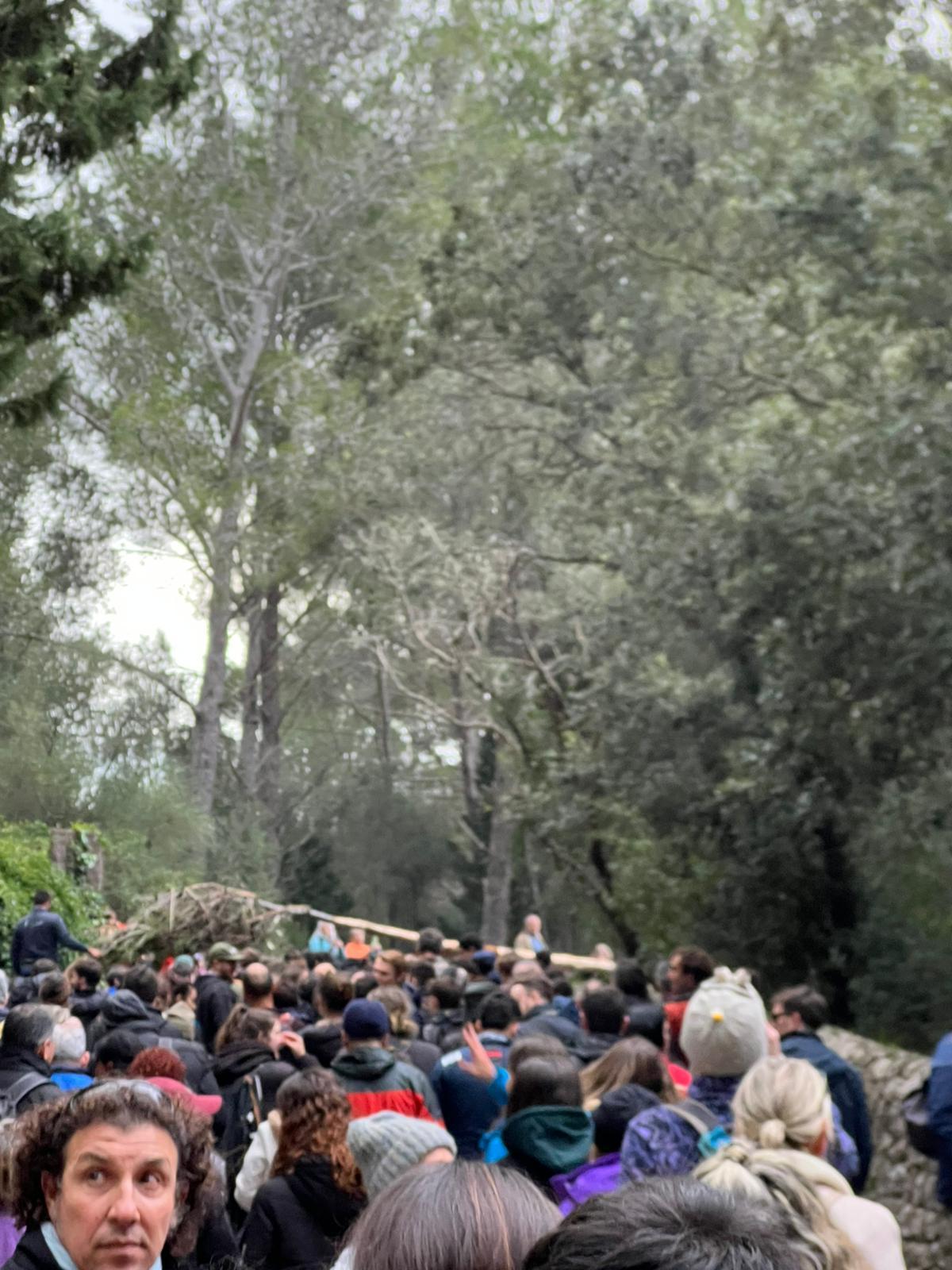 El Pi de Ternelles se dirige a la plaza vella de Pollença. El Pi de Ternelles se dirige a la plaza vella de Pollença.