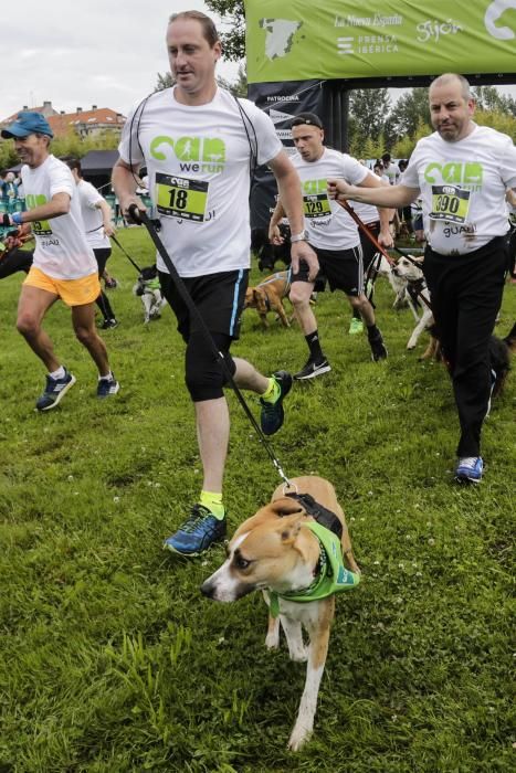 "Can We Run": Deporte, perros y solidaridad toman Gijón