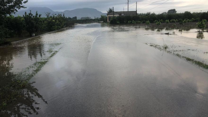 La caída de frutos confirma los daños del temporal en zonas agrícolas de la Ribera