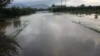 La caída de frutos confirma los daños del temporal en zonas agrícolas de la Ribera