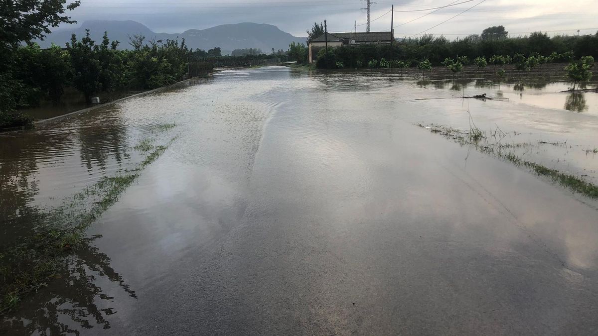 Campos inundados en Albalat de la Ribera
