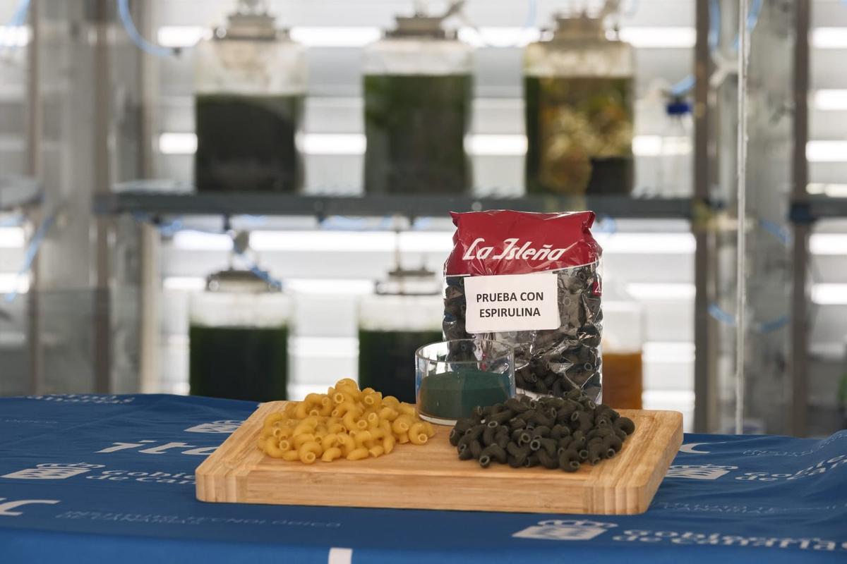 La pasta tornillo normal y la prueba con espirulina.