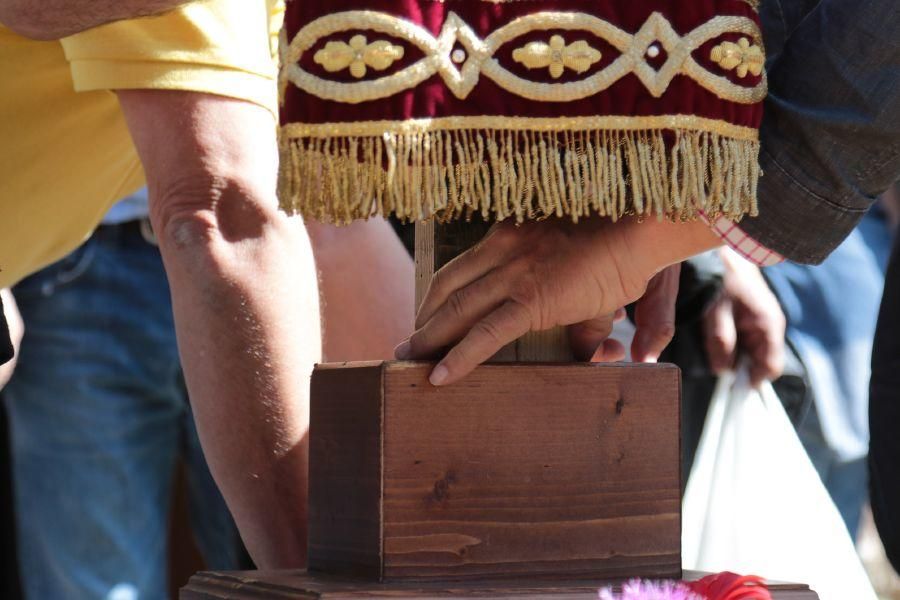 Romería de Valderrey en Zamora