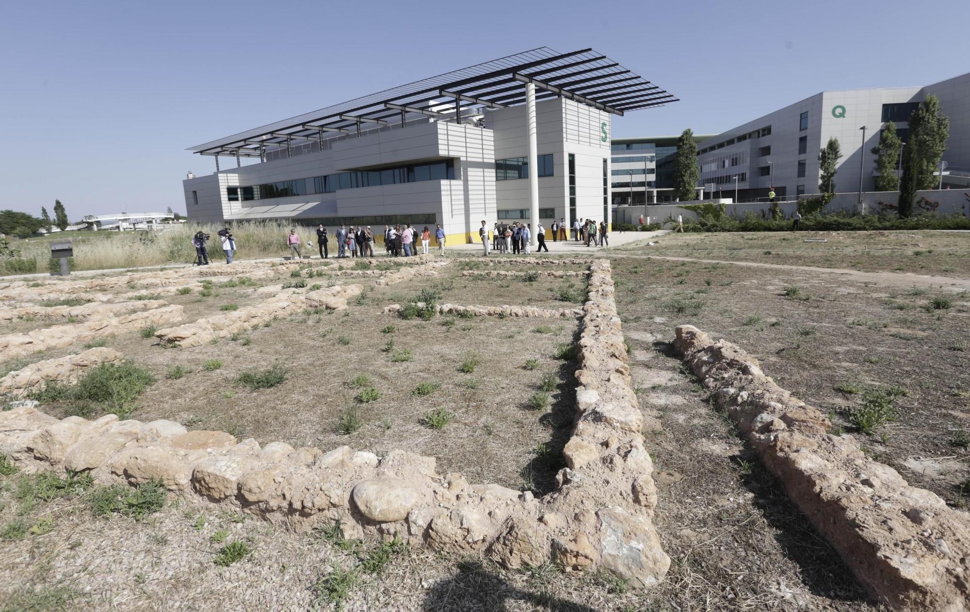 15 años de Son Espases