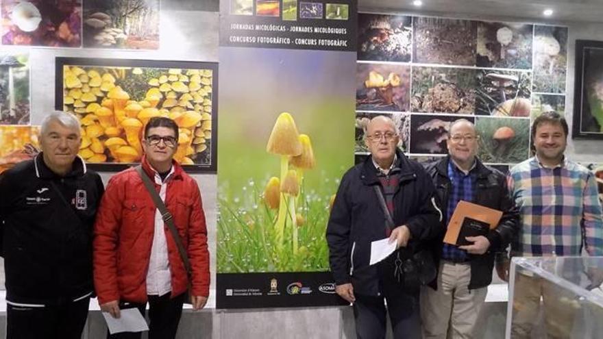 Pedro Sepúlveda gana el concurso fotográfico de las Jornadas Micológicas de Ibi