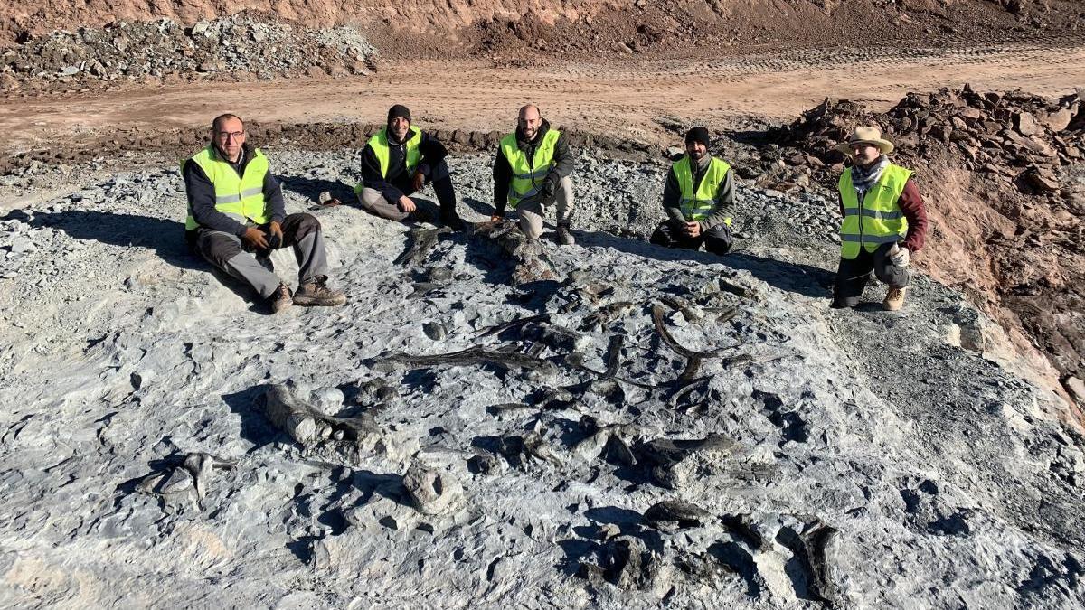 Nuevos restos en Morella de un dinosaurio de hace 125 millones de años