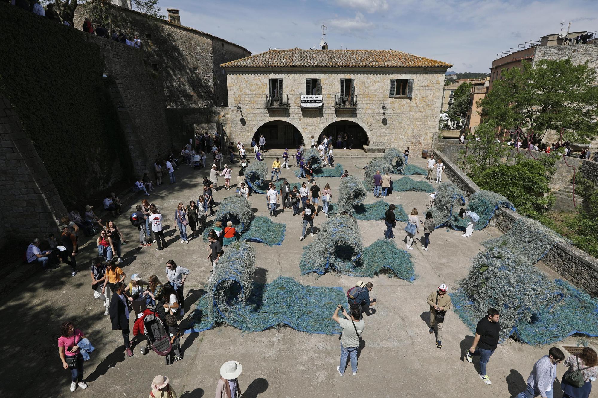 Girona es torna a omplir de color i riuades de gent en el retorn a la normalitat de Temps de Flors