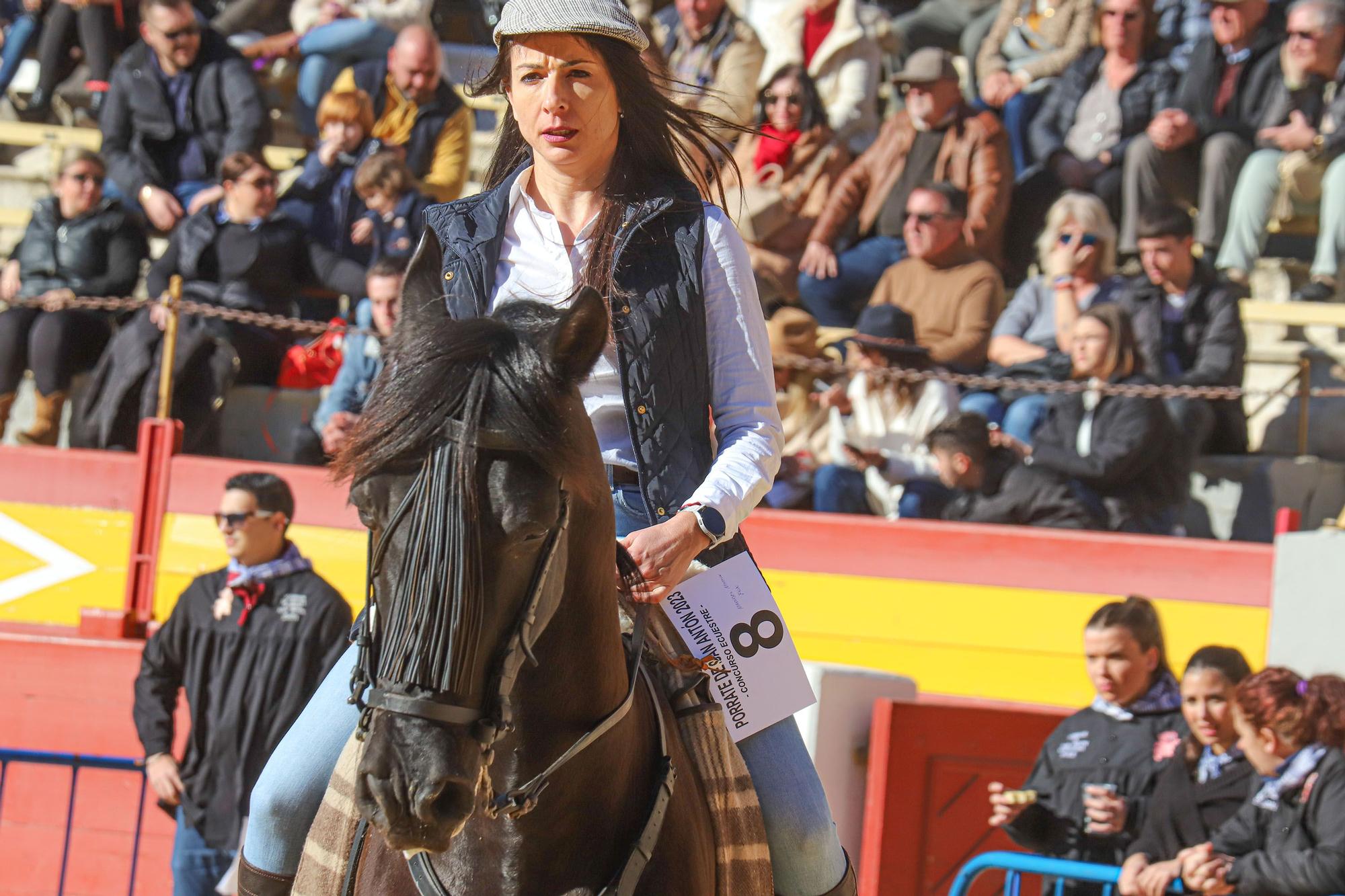 Concurso ecuestre y Bendición de animales por San Antón en Alicante