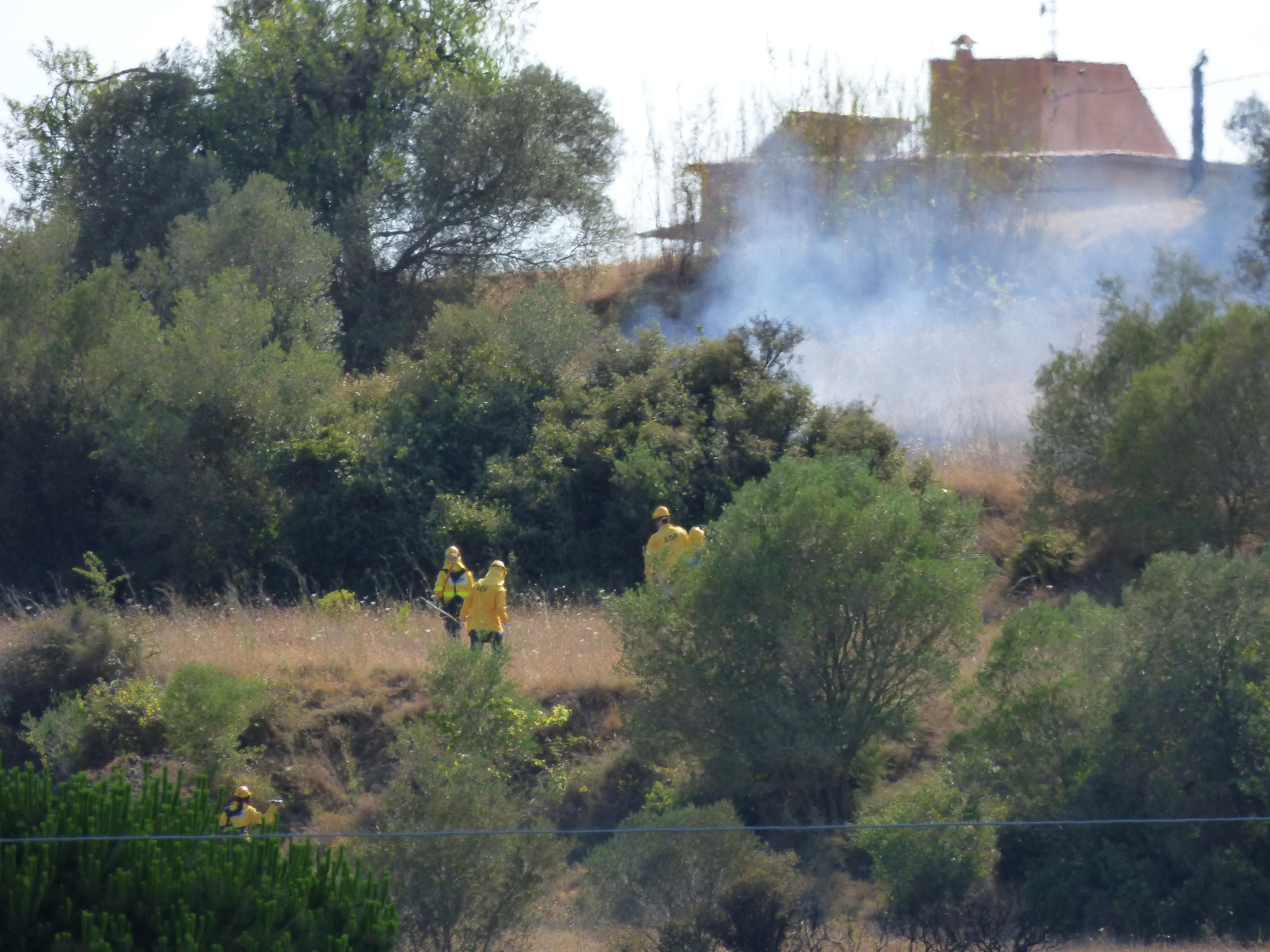 Un incendi ha cremat 3,5 hectàrees al costat de l'Ap7 a Vilafant