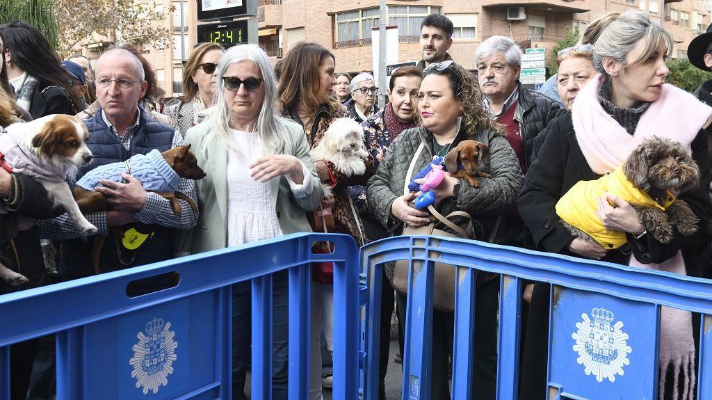 Así ha sido la bendición de animales por San Antón en Murcia